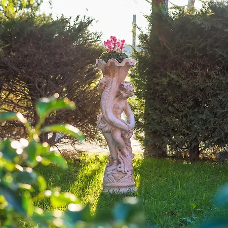 My Svago Mariglianella