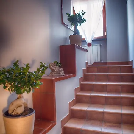 My Svago * Mariglianella